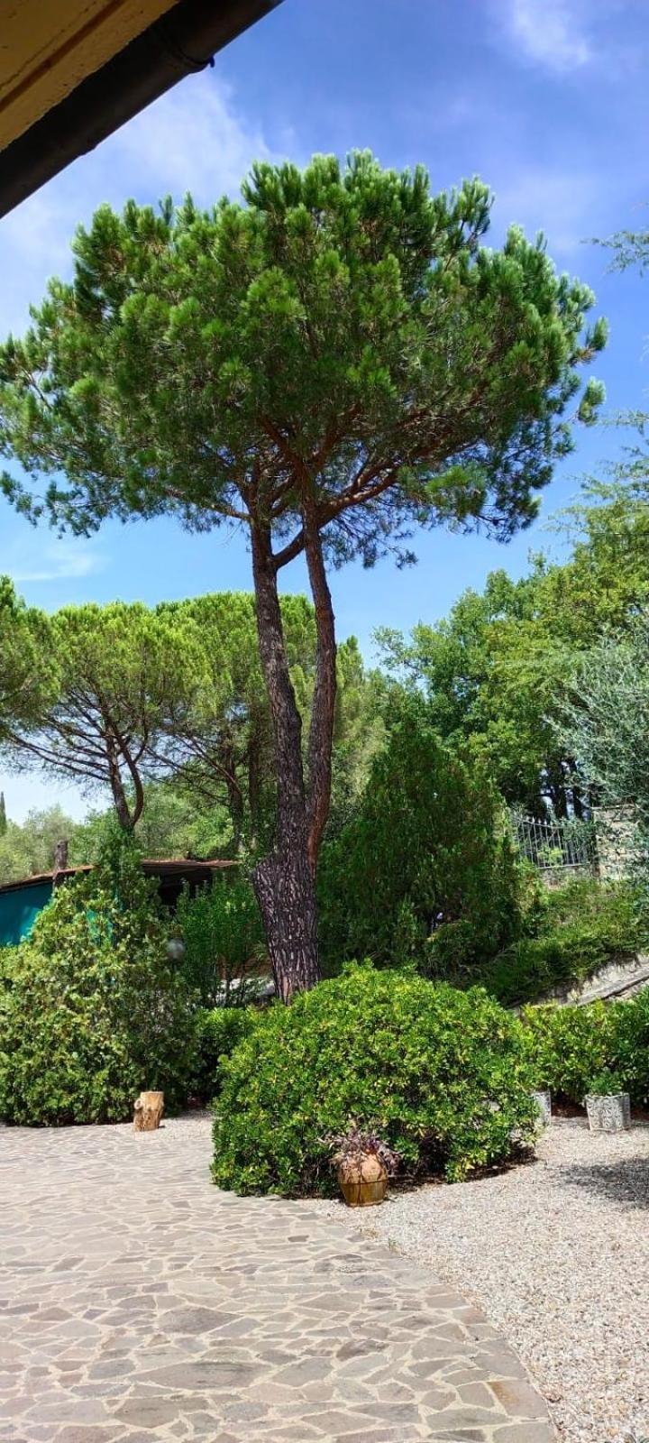 Villa Santa Margherita - La Suvera Ponte A Bozzone Eksteriør bilde