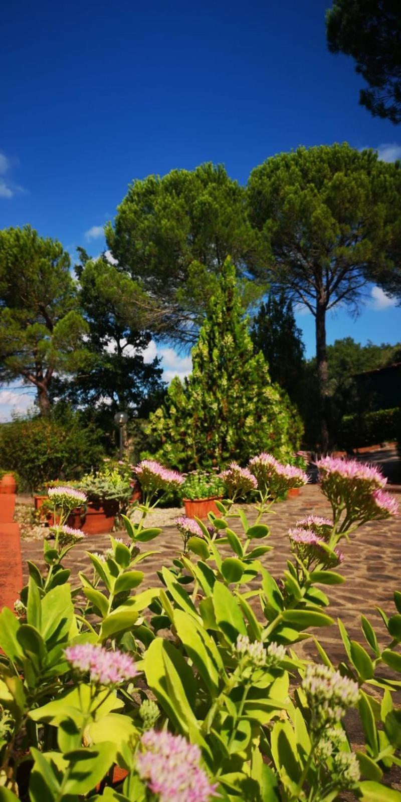 Villa Santa Margherita - La Suvera Ponte A Bozzone Eksteriør bilde