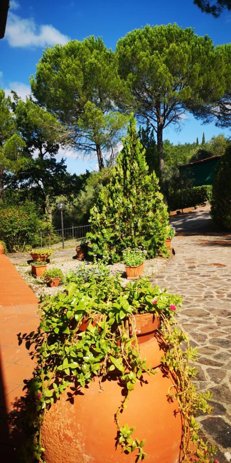 Villa Santa Margherita - La Suvera Ponte A Bozzone Eksteriør bilde