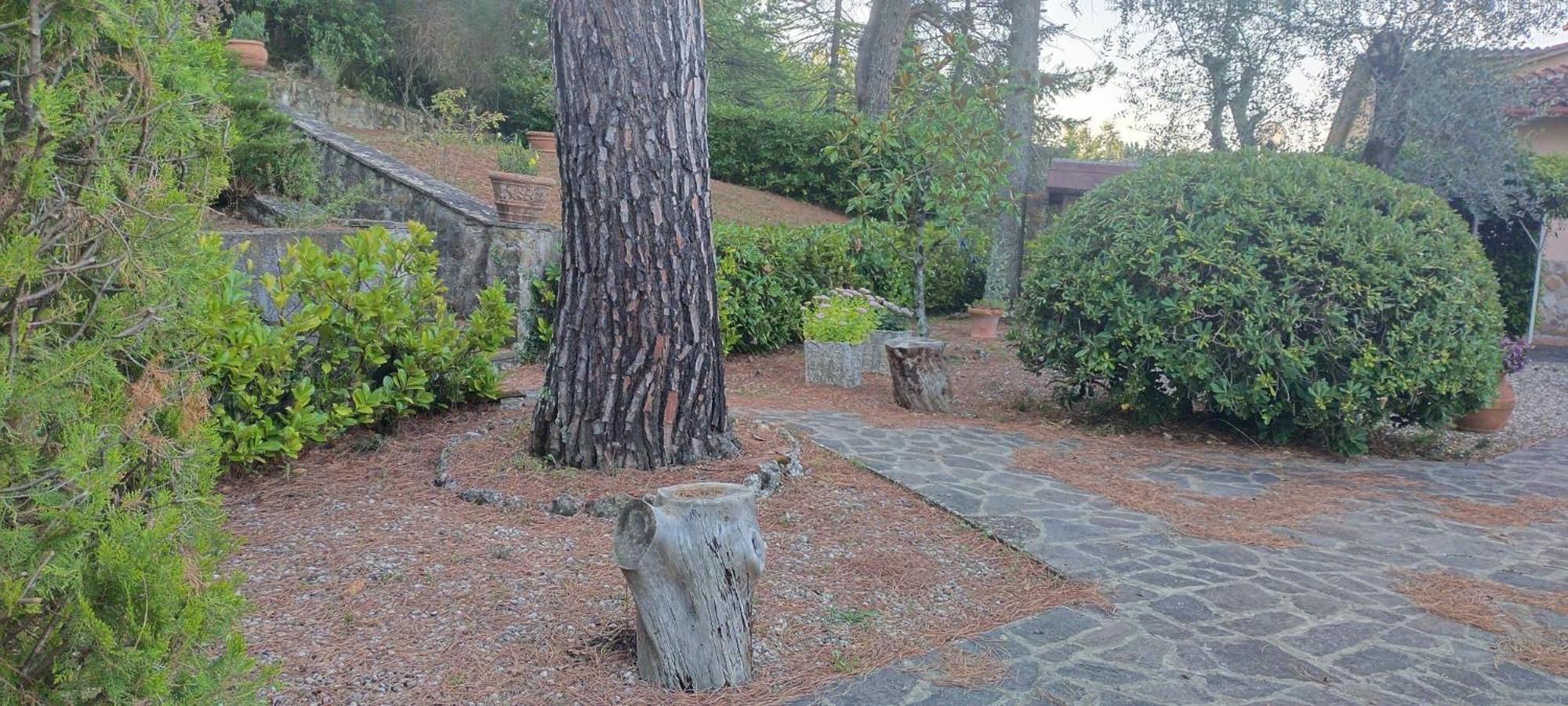 Villa Santa Margherita - La Suvera Ponte A Bozzone Eksteriør bilde