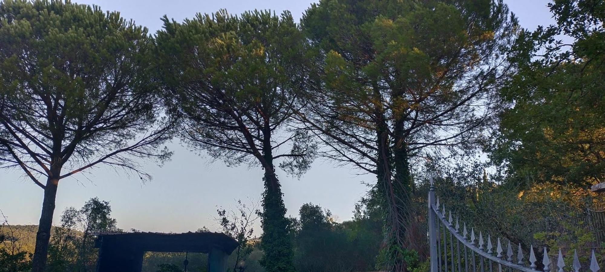 Villa Santa Margherita - La Suvera Ponte A Bozzone Eksteriør bilde